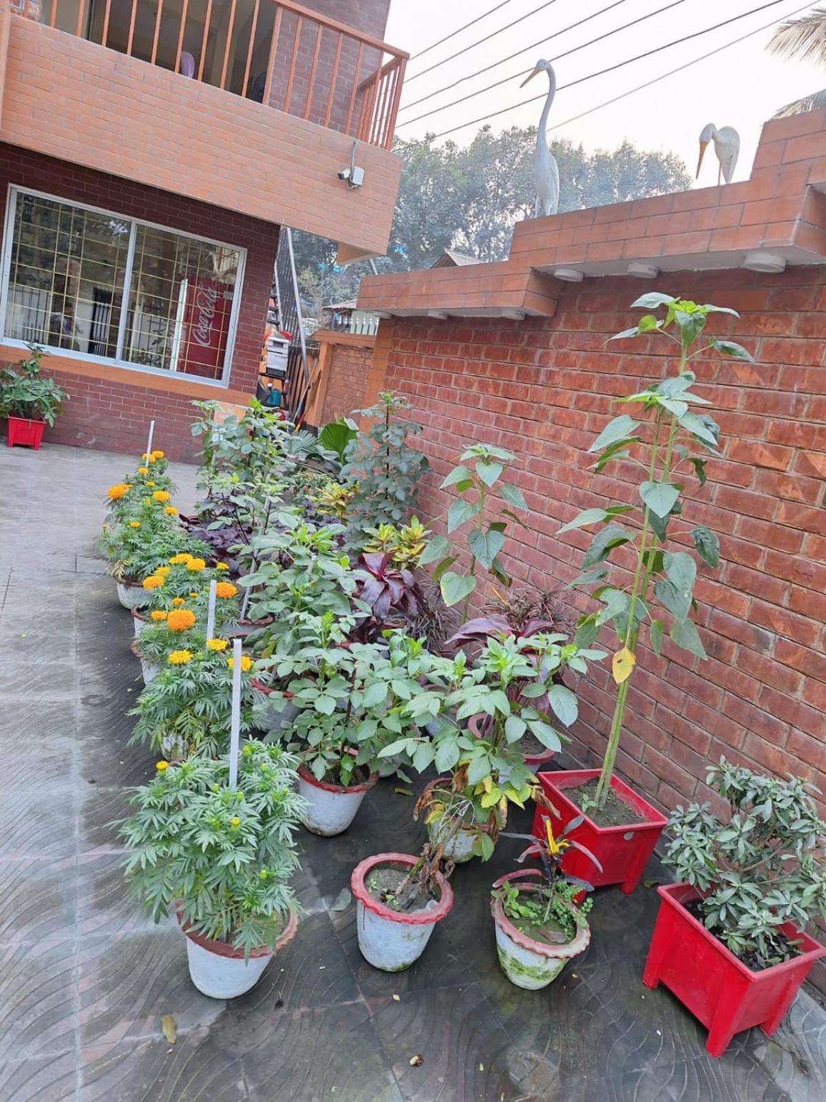 Little Rangpur Inn Exterior foto